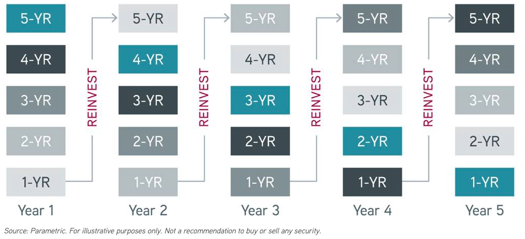 The reinvestment cycle of bond ladders