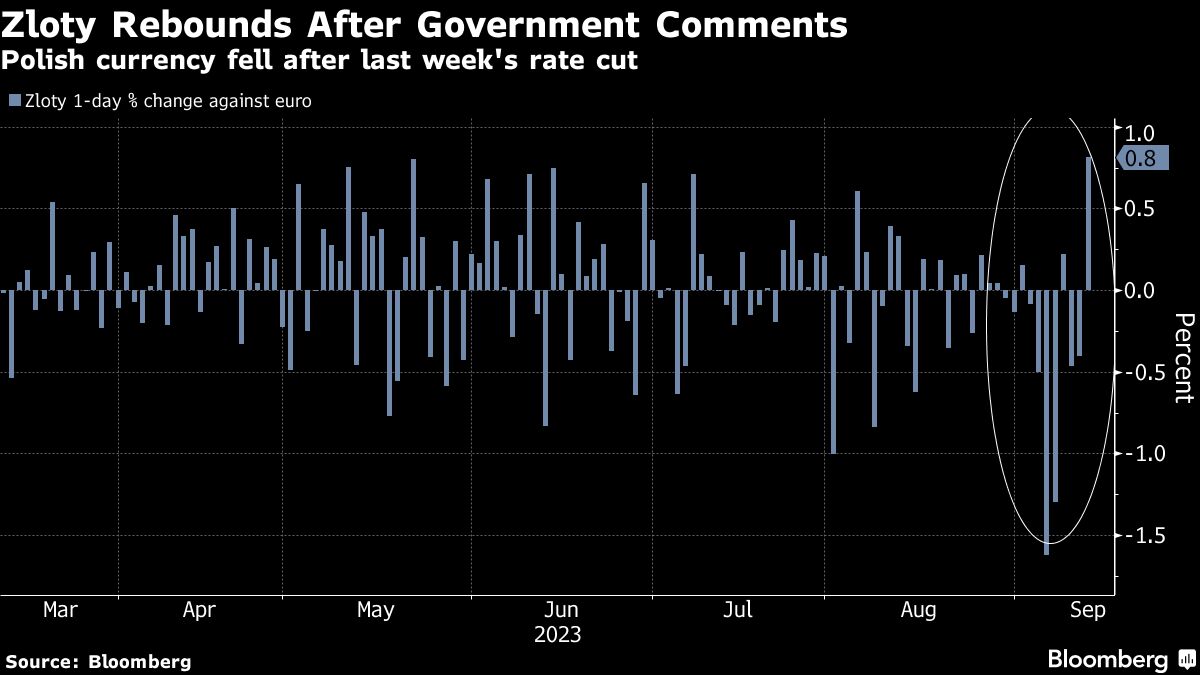 Zloty Rebounds After Government Comments
