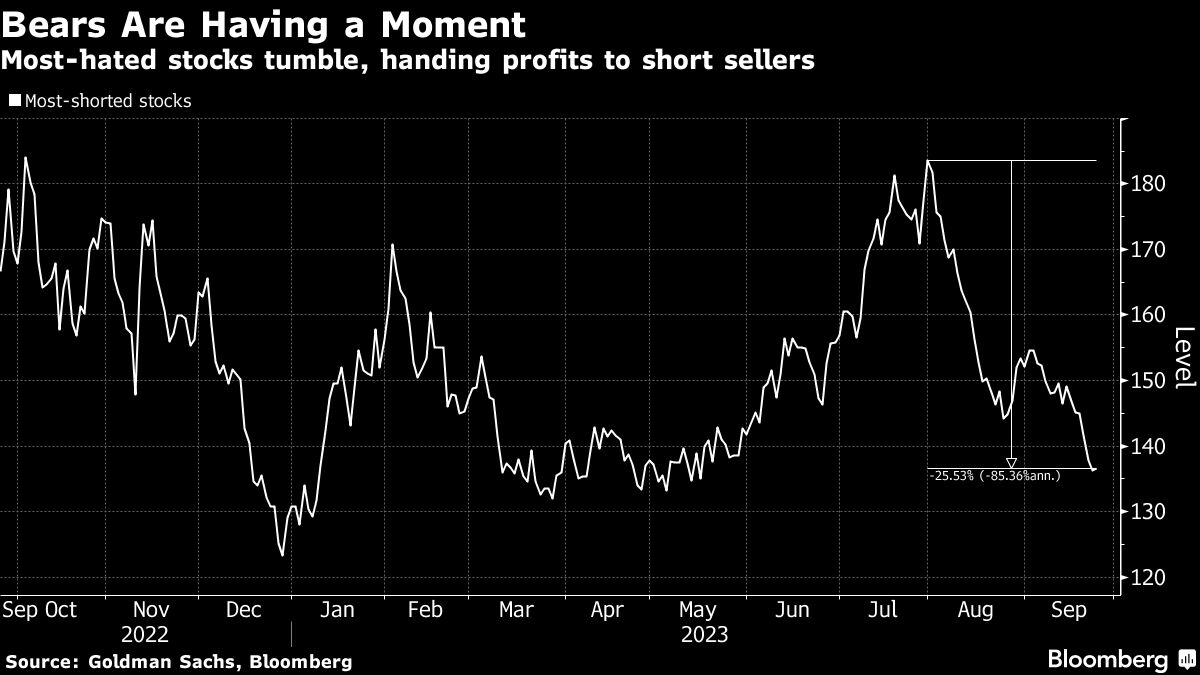 Bears Are Having a Moment