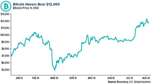 bitcoin hovers near $12,000