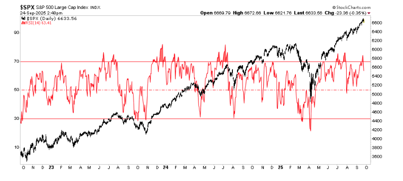 S&P 500 Large Cap
