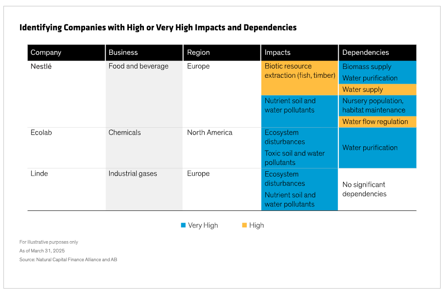 Identifying Companies with High or Very High Impacts and Dependencies