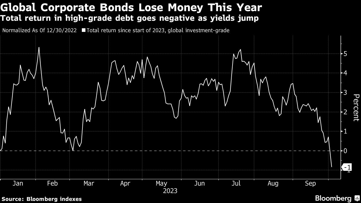 Global Corporate Bonds Lose Money This Year