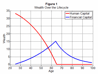 Wealth over the Lifecycle