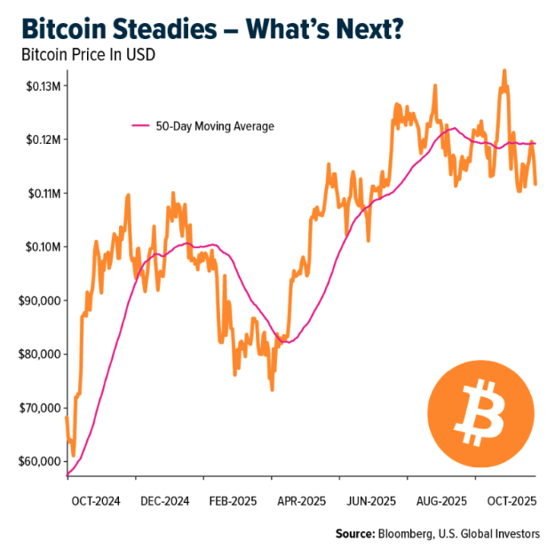 bitcoin steadies