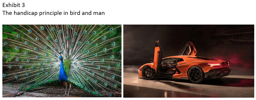 principle in bird and man