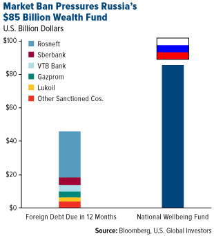 Market Ban Pressures Russia's $85 Billion Wealth Fund