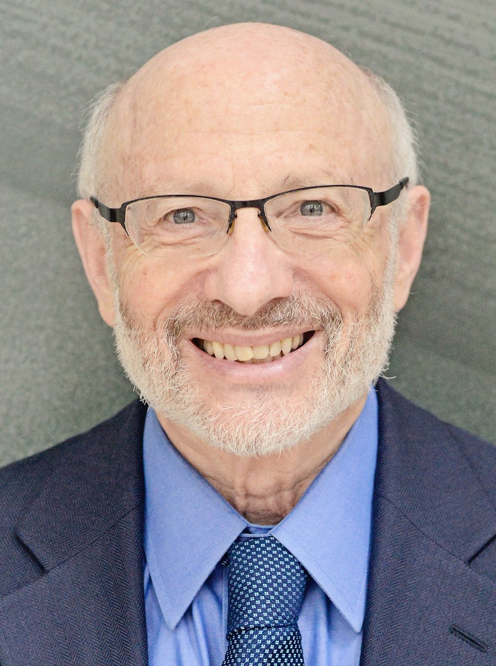 Michael Edesess