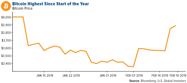 Bitcoin Hit its Highest Since the Start of the Year